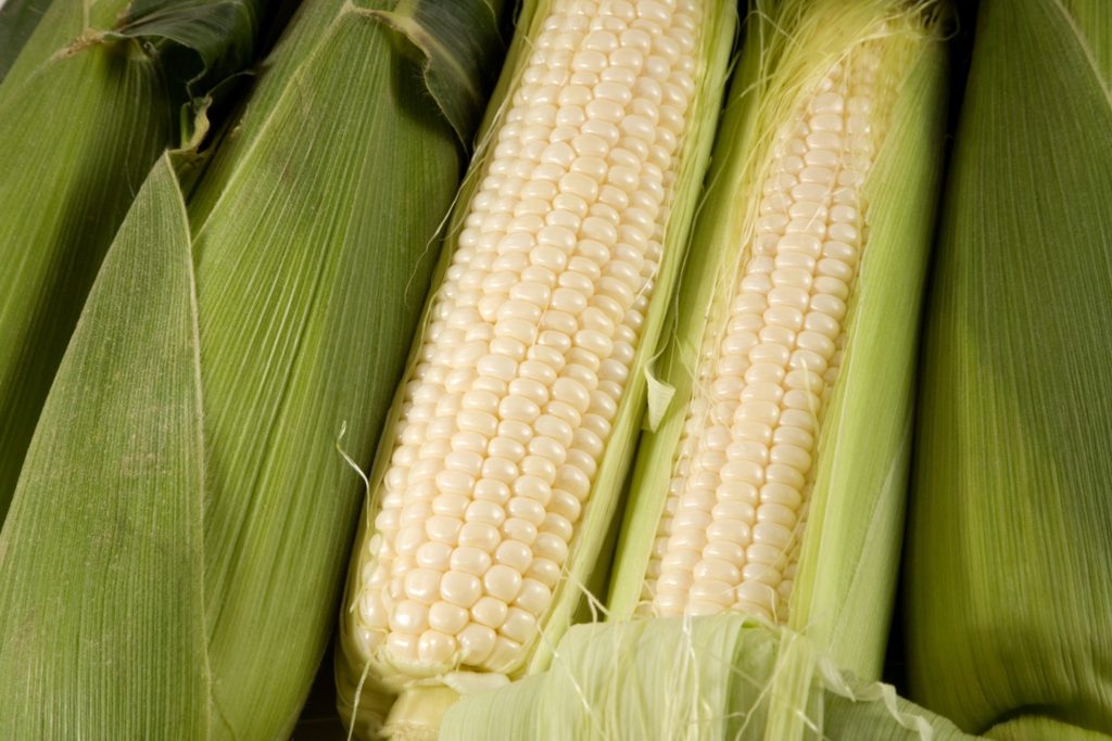 5 maneras de cocinar el maíz