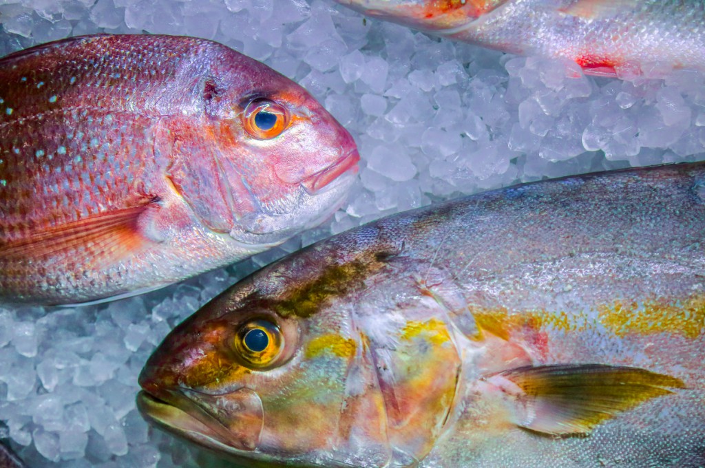 Cómo diferenciar un pescado fresco y de calidad
