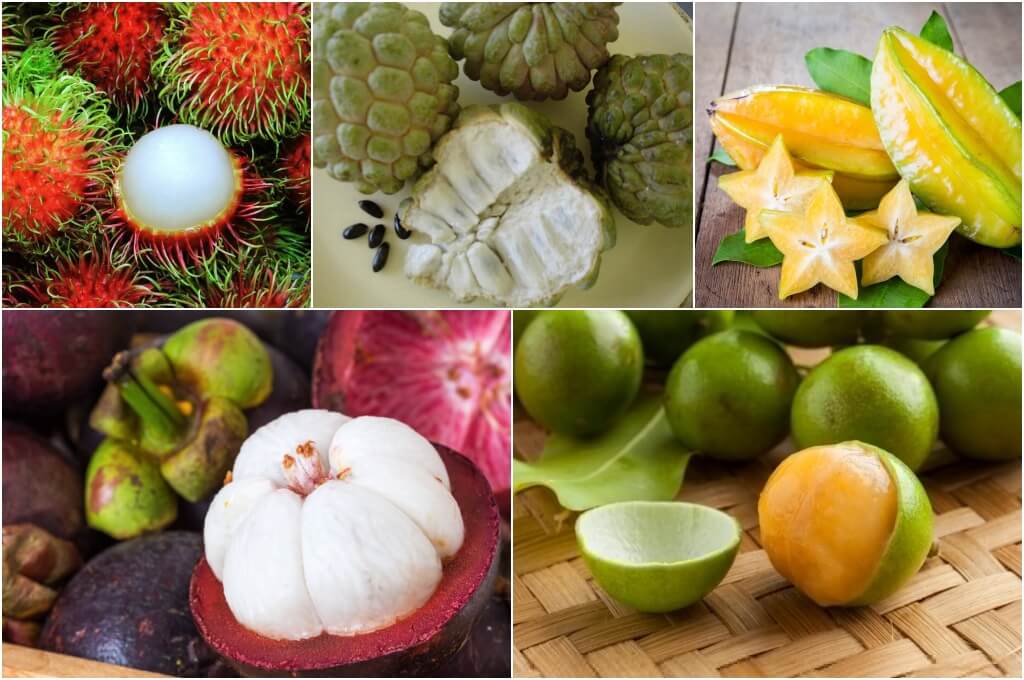 Las 5 frutas más exóticas que existen en Honduras