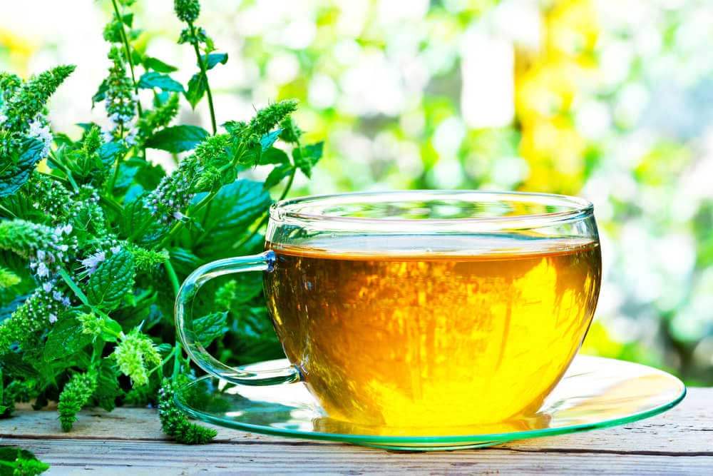  Para tener todos los beneficios del té verde se deben tomar 3 a 4 tazas al día
