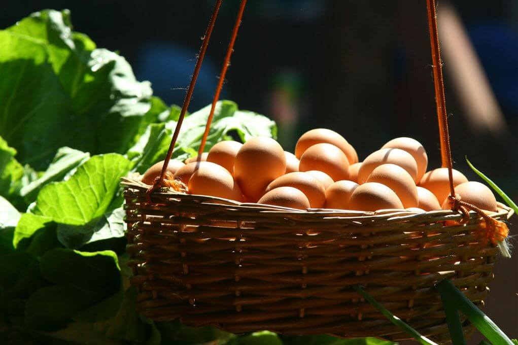 Descubre los sorprendentes beneficios de incluir huevos en tu dieta