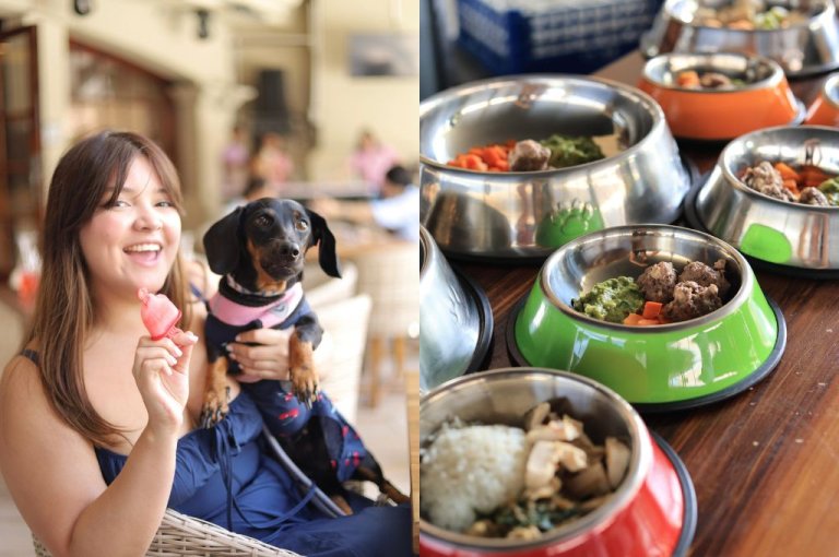 Hotel Clarión Tegucigalpa lanza su Menú Dog Friendly